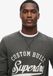 Superdry Copper Label sweatshirt met ronde hals en afbeelding - Heren - Truien