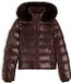 Tommy Hilfiger Dames Puffer Jas XS Chocoladebruin Polyamide Herfst/Winter 2026