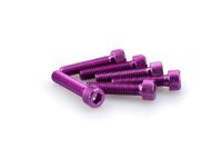 PUIG 0500L schroeven van geanodiseerd aluminium paars