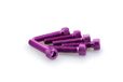 PUIG 0500L schroeven van geanodiseerd aluminium paars