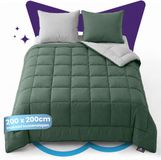 Slaapspeciaal Candas Import Export Slaapspeciaal Eazydekbed Supersoft Groen/Grijs - 200x200 cm