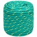 vidaXL Multifunctioneel touw 18 mm 100 m Vert PP