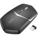 Hoco Souris sans fil HOCO DI33, 1600DPI, Noir