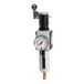 RIEGLER 151801-FU 824-4 filterregelaar "Futura", PC, SK, Mano, BG 2, G 1/2, 0,2-4 bar, VA, 1 stuk