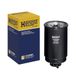 Hengst H120WK Brandstoffilter