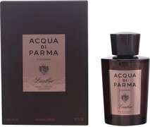 Acqua di Parma Colonia Leather eau de cologne concentree spray 100 ml / heren