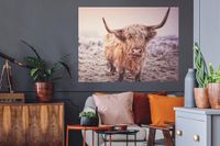 StickerSnake Muursticker - Schotse hooglanders - 120x90 cm