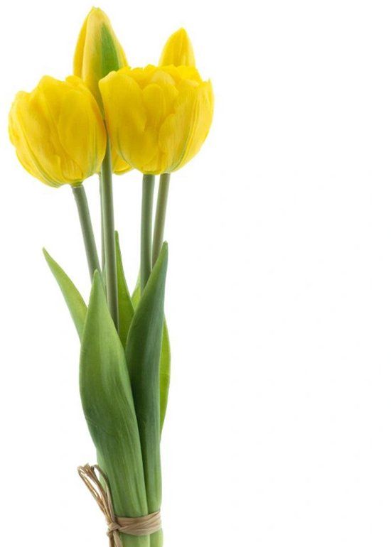Erutan avon PSO Triumph tulip bundle Sally x5 yellow 29 cm