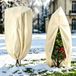 Famanu - Winterbescherming voor Planten - Beige