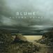 Suburban Blume Autumn Ruins