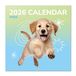 Grupo Honden Kalender 2027 Wandkalender