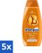 Schwarzkopf Argan Oil & Repair Shampoo - Nourrit & Renforce - 400 ml - Pack économique - 5 pièces