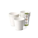 GREENBOX Organische papieren bekers, wegwerpservies, drinkbekers, papieren bekers, composteerbare en biologisch afbreekbare bekers, witte, onbedrukte milieuvriendelijke koffiemok, 50 stuks, 150 ml