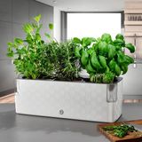 Flower Lover Cobble Trio - Slimme kruidenpot met bewateringssysteem - Kristalwit - Kruidenbak - Kweekbak - Plantenbak