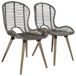 VidaXL Eetkamerstoelen 2 stuks Rotan/Hout Bruin