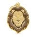 MyFamily Hond Medaille Gemaakt In Italië, Tijger, Hondenplaat, Emaille Metaal, Wild Collectie