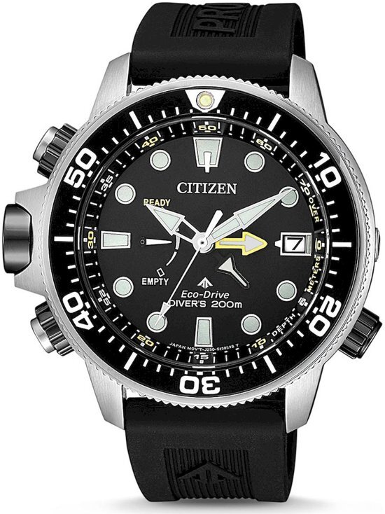 Citizen watch