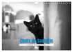 Chats CALVENDO Chats de Santorin - Les princes d'Oia en noir et blanc (Calendrier mural 2027 DIN A4 vertical), CALVENDO calendrier mensuel