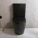 Hudson Reed Duoblok Toilet Modern met Soft-Close Toiletzitting - Grafiet