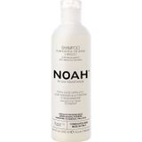 Noah Te Verde Champu Purificante 250Ml Santé et soins personnels