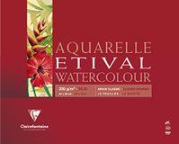 Clairefontaine 96379C - Etival tekenpapier blok met klassieke korrel - 10 vellen 30x40 cm 200g, Wit