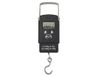 HDWR wagPRO-H50C Kleine haakschaal, hangweegschaal, draagkracht tot 50 kg, draagbare digitale weegschaal, display/tara/gegevenshoudfunctie, 4 eenheden (kg/lb/oz/jin), kofferweegschaal, HDWR
