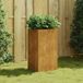 Maison Exclusive - Jardinière 40x40x80 cm, version acier Corten