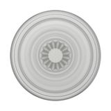 PopSockets PlantCore Grip Telefoonhouder Met Smartphonestandaard Grijs, Doorschijnend