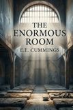 The Libri GmbH The Enormous Room Paperback
