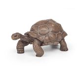 Papo - Realistische Galapagosschildpad figuur - 3 jaar en ouder - Wilde dieren collectie - Educatief spel exotische reptielen - Cadeau-idee speelgoed voor meisjes en jongens