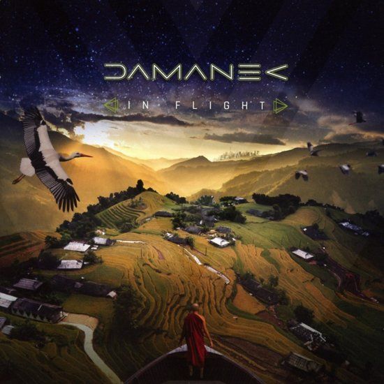 Damanek In Flight