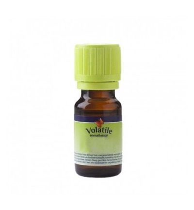 Volatile Amber Kashmir parfum 5 ML