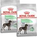 ROYAL CANIN Spijsverteringsverzorging Maxi 2x12 kg