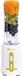 Noveen SB210 Green 0,6 l Blender pour comptoir 300 W Vert