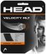 Head Velocity Mlt Enkele Tennissnaar 12 M Zwart 1.40 mm