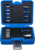 BGS Schroeven uitdraaiset - voor binnenzeskant 1,5 - 10 mm / Torx - T10 - T55 - 19 delig