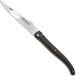 Laguiole en Aubrac Terre d'Aubrac, Daffodil Bee, Full Handle, Brushed Finish, zakmes, 12 cm
