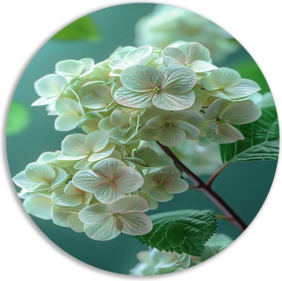 Merkloos / Sans marque Bloemen Muurcirkel - Planten Schilderij - 60x60cm - Groen/Wit/Roze - Forex