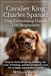 Cavalier King Charles Spaniel Dog Grooming Guide For Beginners