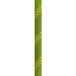 Edelweiss Toplight II 10,2MM, corde d'escalade, vert clair