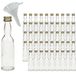 Mikken 50 glazen mini-flessen 40 ml om te vullen, geschenkflessen met schroefdop, incl. trechter