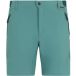 Regatta Bergshorts pour hommes, Vert, Taille 34