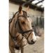 Horse Fit Form International SRL Bridon équitation muserolle combinée HFI Pro Line Milano