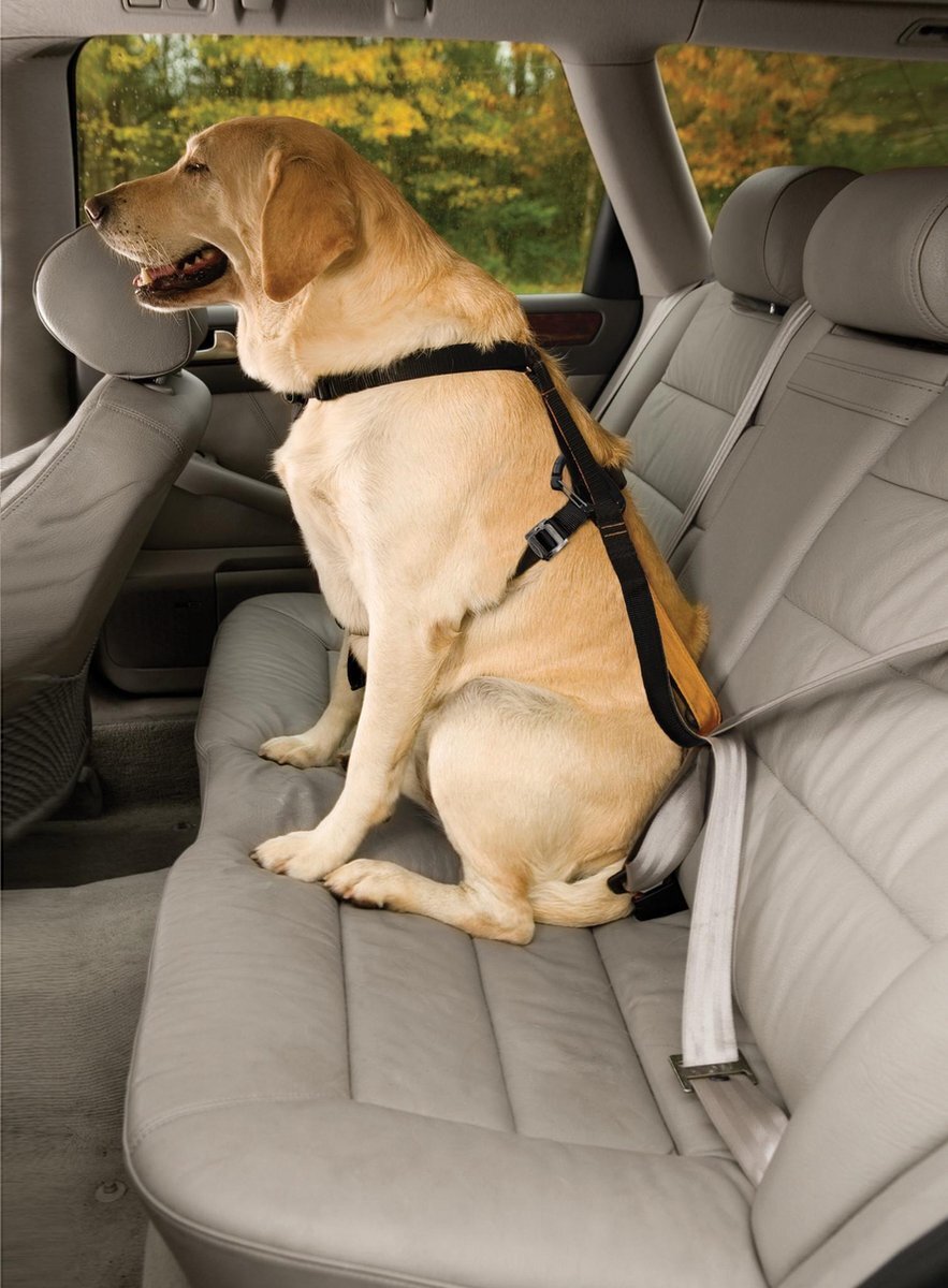 KURGO Enhanced Strength Tru-Fit Dog Car Harness - Veiligheidsharnas, verstelbaar op 5 plaatsen - in Rood of Zwart van XS tot XL - Kleur: Zwart, Maat: Extra Small zwart