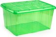 PLASTICFORTE opslagbak organizers met deksel - transparant/groen - 60 liter - kunststof