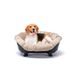 Ferplast SOFA'THRONE Honden- en kattenbed met kussen, wasbaar, gerecycled plastic, verhoogd, ademend, antislip, 73 x 55 x 32 cm, zwart