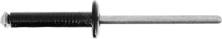 Restagraf - Zwarte bloeiende klinknagels voor kentekenplaten - Diameter 4 mm - Lengte 20 mm - Ref. 4716 - Zak met 34 stuks