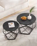 Merkloos Parya Home Ronde salontafels, set van 2 bijzettafels, moderne stijl, afneembaar tafelblad, stalen frame, voor woonkamer, zwart