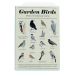 Rex London Jeu de mémoire Garden Birds