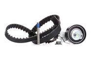 INA 530 0335 10 Distributieriem Kit